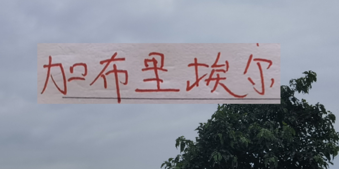 开云官方平台-新赛季!海港 申花 北京国安的边锋都是又黑又快的外援